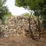 Zoe Ρατζακλί